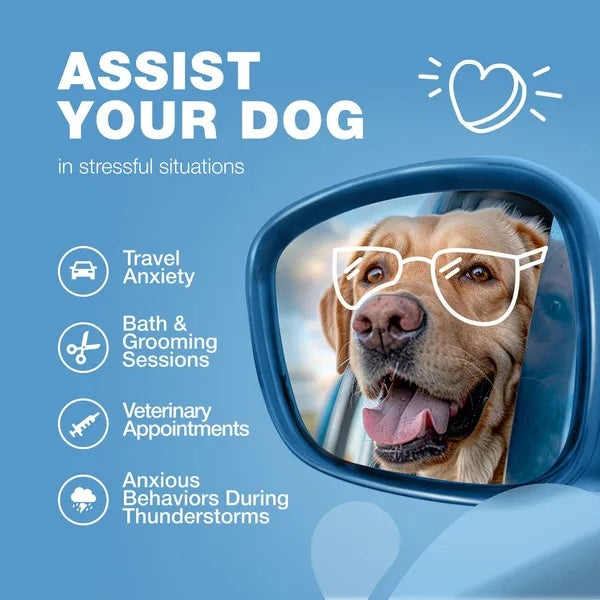Hemp Calming Chews For Dogs